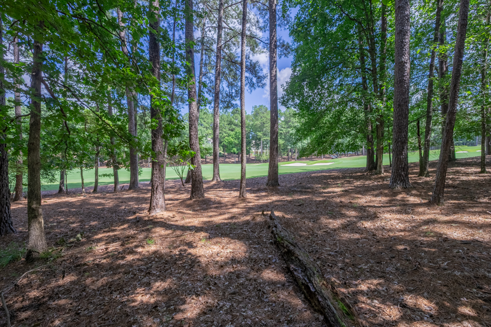 2721 Parrott's Pointe Road image 10